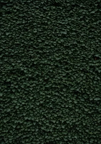 Imagen PNG para descargar